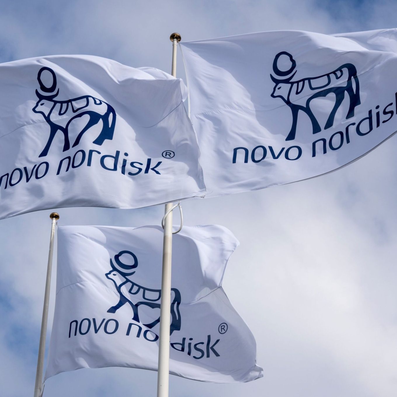 Novo Nordisk vlaggen